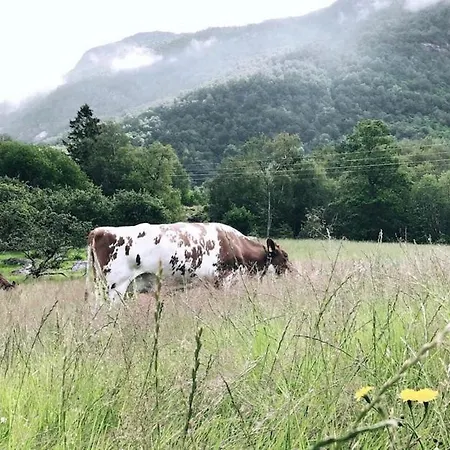 別荘 Charming House In Sunndal